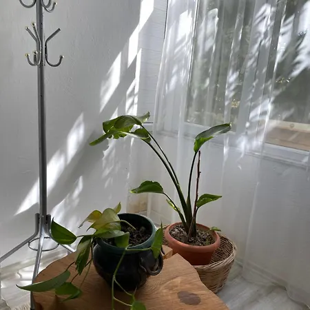 Apartament Narlibahce